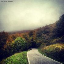 autunno nei pressi dell'infilatoio. monte catria. 2013.